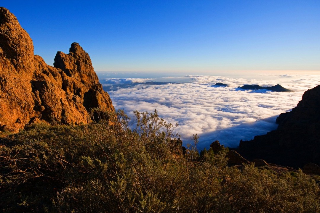 The Best Climate in the World - Aerial View of Puerto de Mogán The Best Climate in the World - Aerial View of Puerto de Mogán