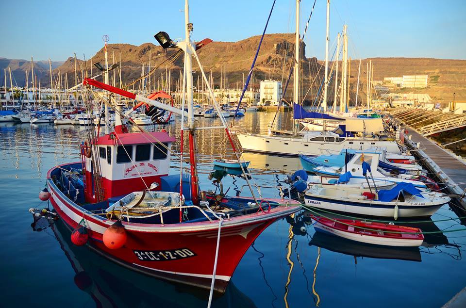 Restaurants in Puerto Mogán - Marina in Puerto Mogan
